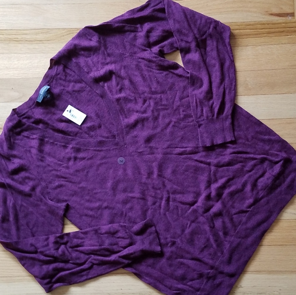 NWT The Limited Maroon V-neck Sweater- Large